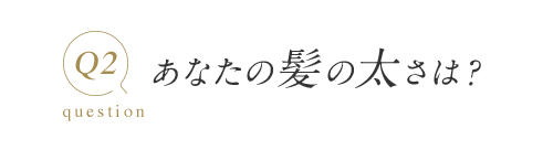 Q2 question あなたの髪の太さは？