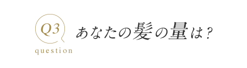 Q3 question あなたの髪の量は？