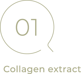 01 collagen extract