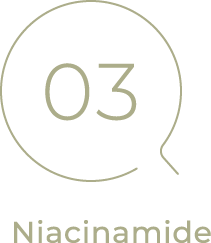 03 Niacinamide