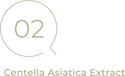 02 Centella Asiatica Extract