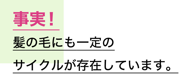 事実！髪の毛にも一定のサイクルが存在しています。