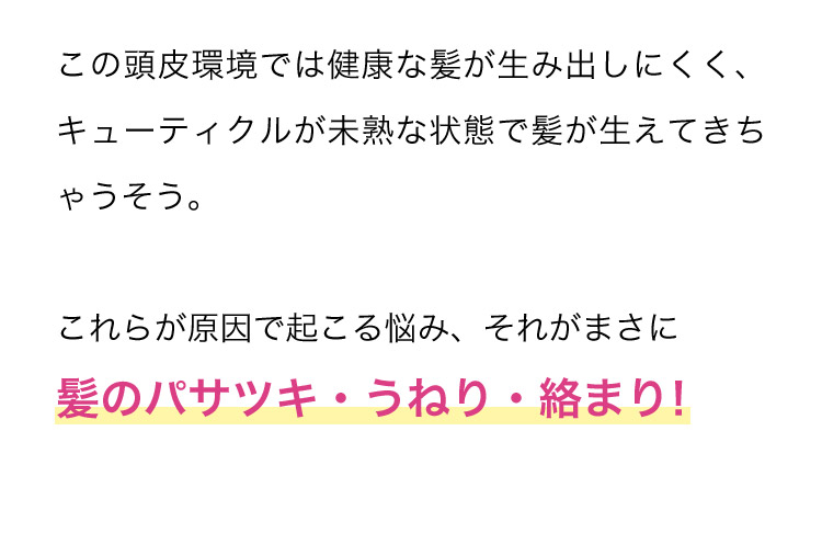 この頭皮環境では健康な髪が生み出しにくく、キューティクルが未熟な状態で髪が生えてきちゃうそう。 これらが原因で起こる悩み、それがまさに髪のパサツキ・うねり・絡まり！