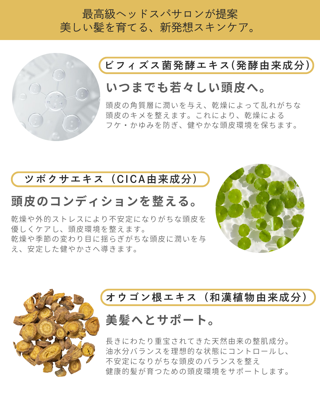 SET PREMIUM SPA SCALP CLEANSING＆TREATMENT 各150mlの画像3