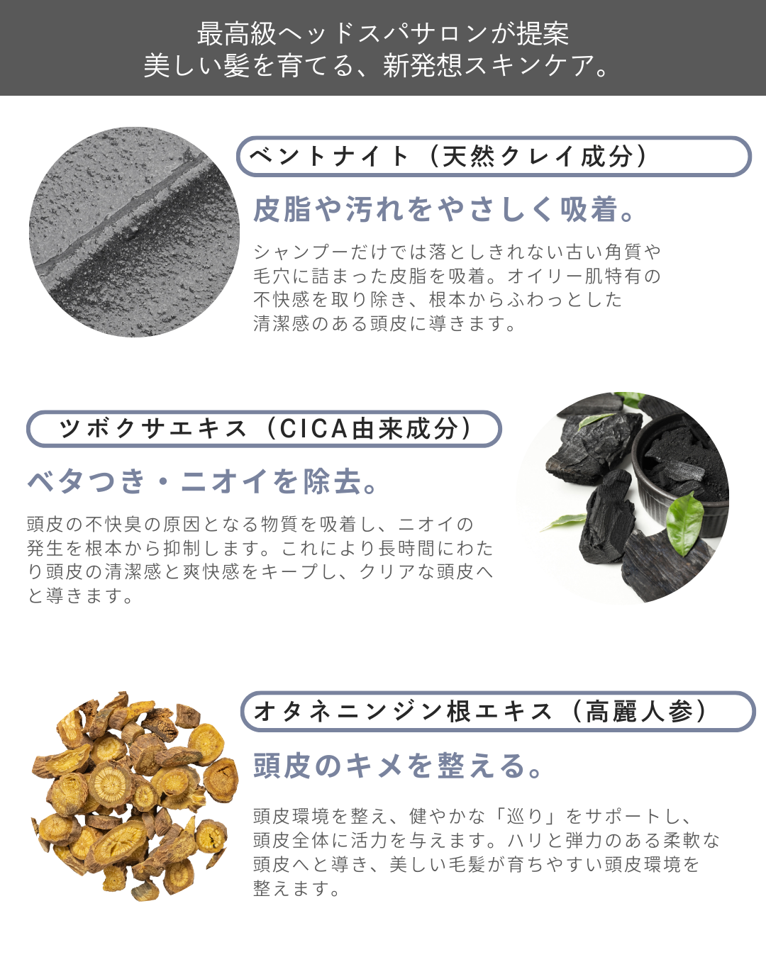 PREMIUM SPA SCALP CLEANSING- CLAY- 150mlの画像3